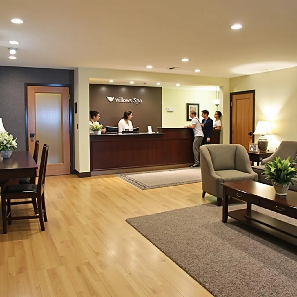 Welcoming reception area at Willows Spa