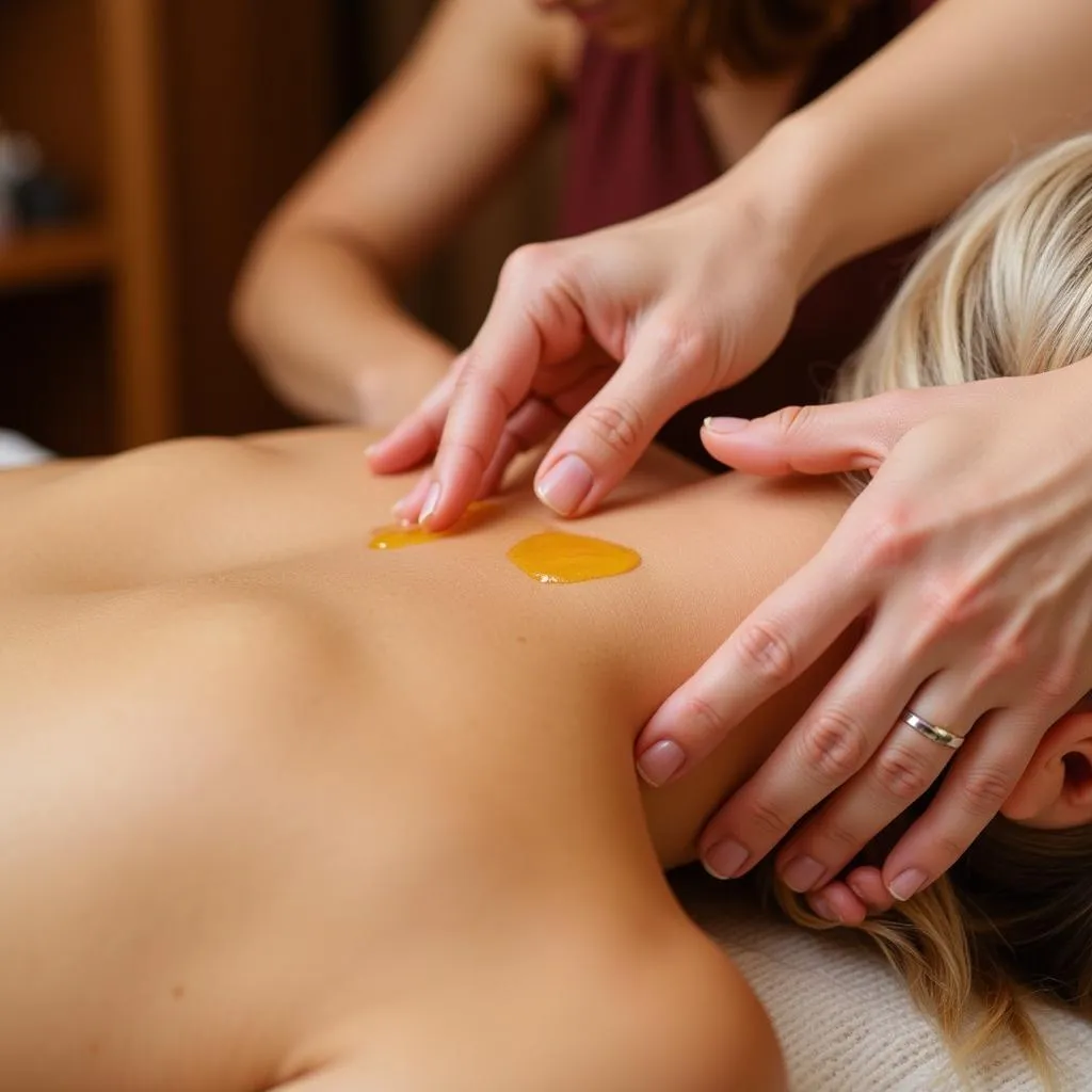 Ayurvedic Massage Therapy in Jodhpur Spa