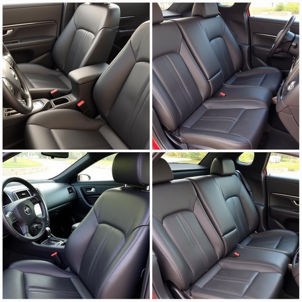 Spa Auto Repair Interior Detailing