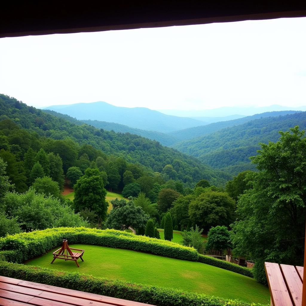 Scenic View from a Chikmagalur Spa Resort