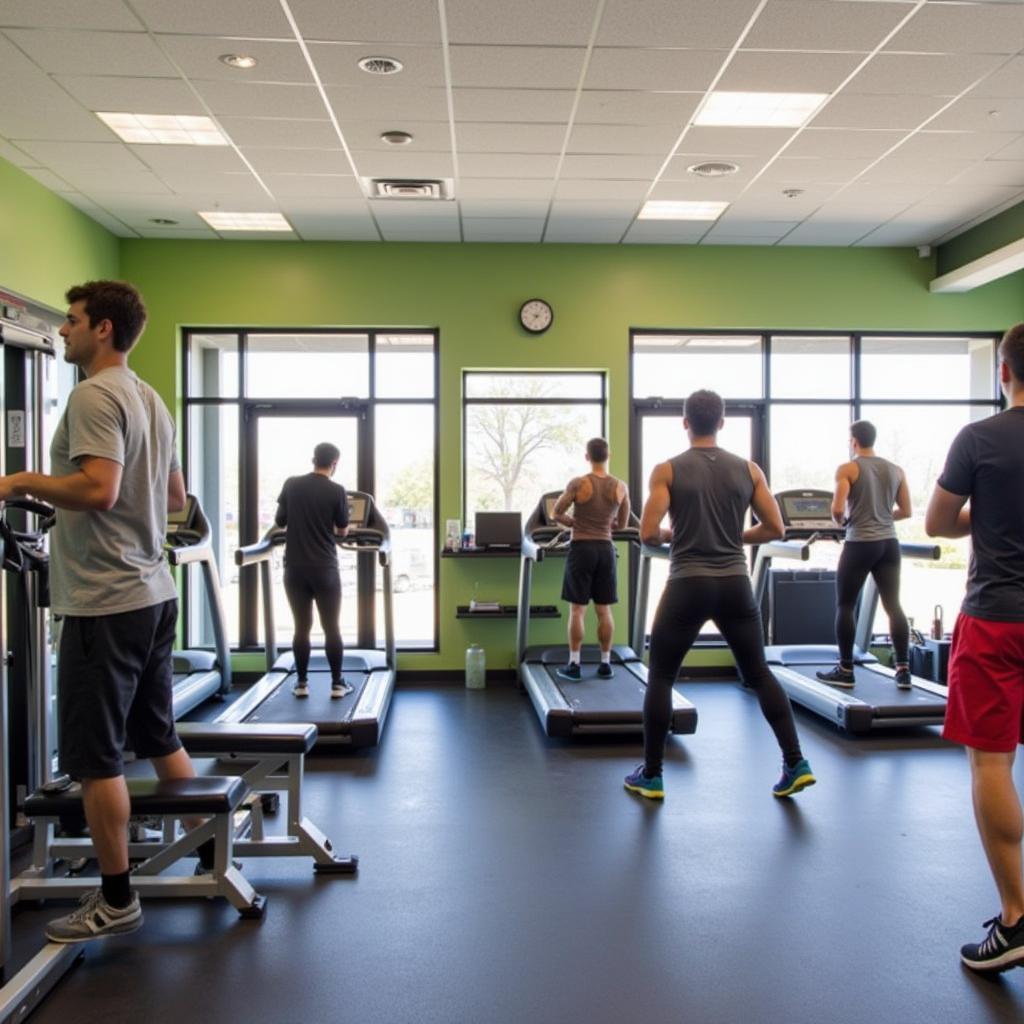 People working out in a modern, well-equipped gym at FitLifez