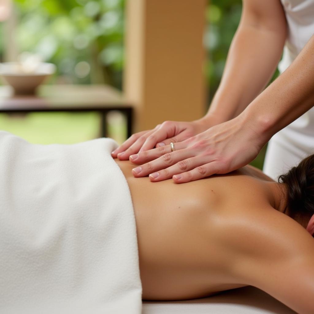 Signature Massage Experience at Heritance Kandalama