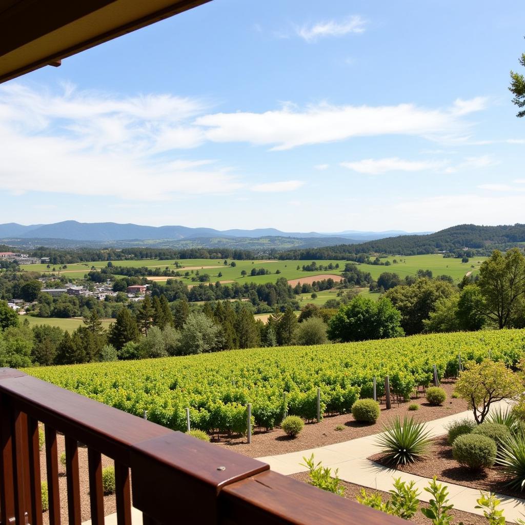 Vineyard View from MacArthur Place Inn and Spa