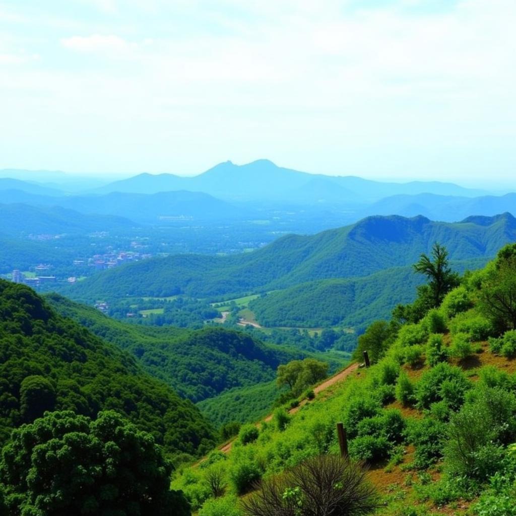 Scenic Viewpoint in Mahabaleshwar near Brightland Hotel