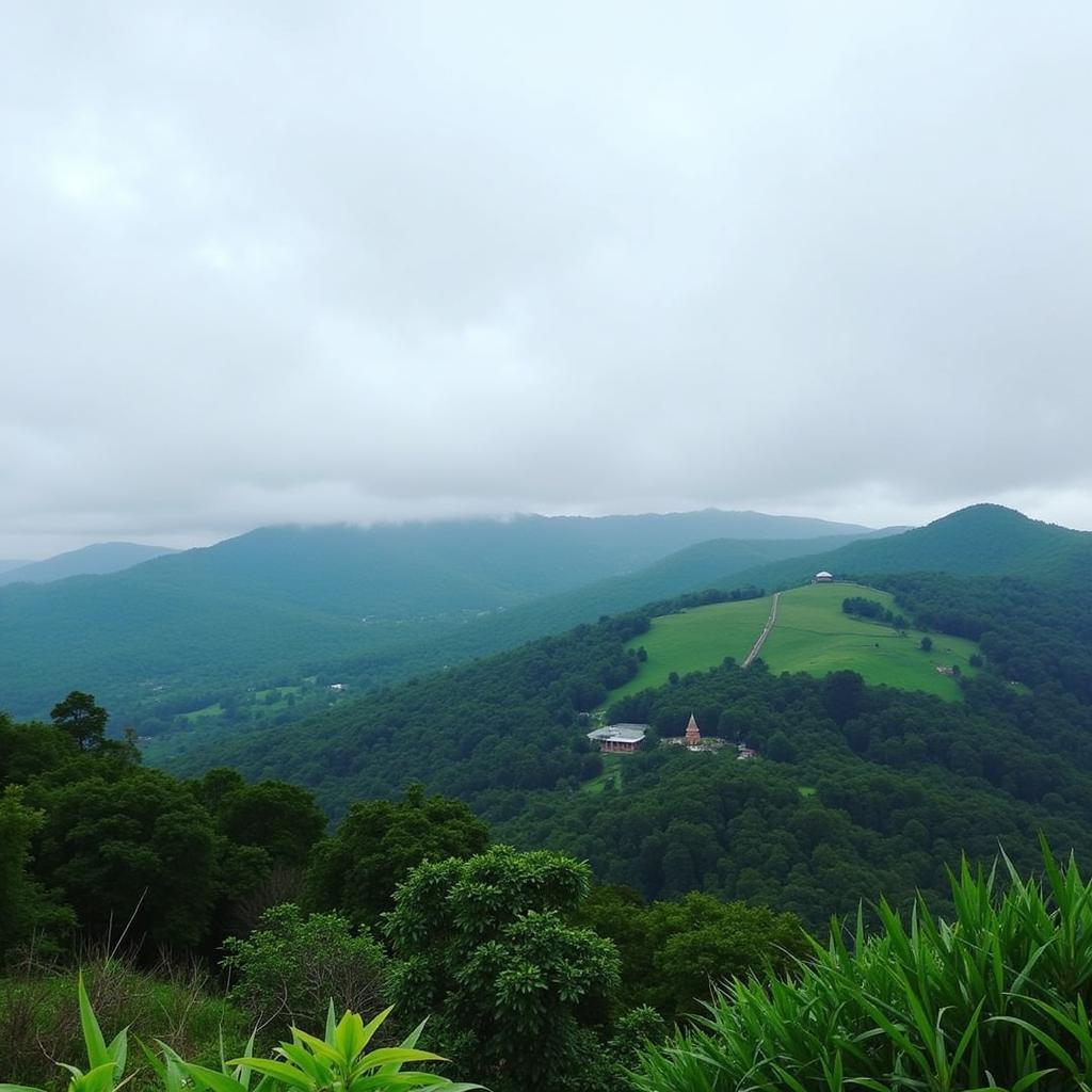 Exploring the Surroundings of Windflower Resort and Spa Bandipur