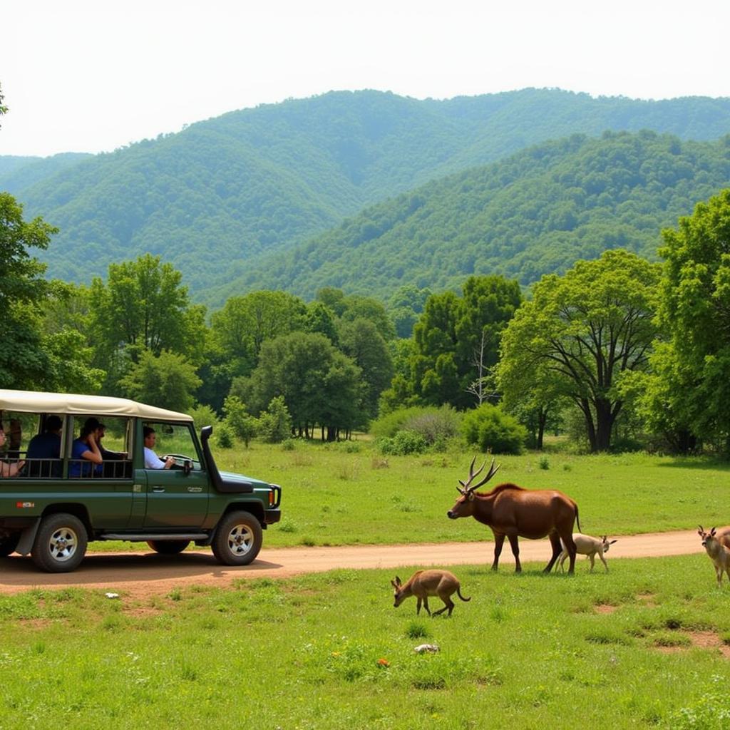 Jim Corbett Safari near Wood Castle Spa