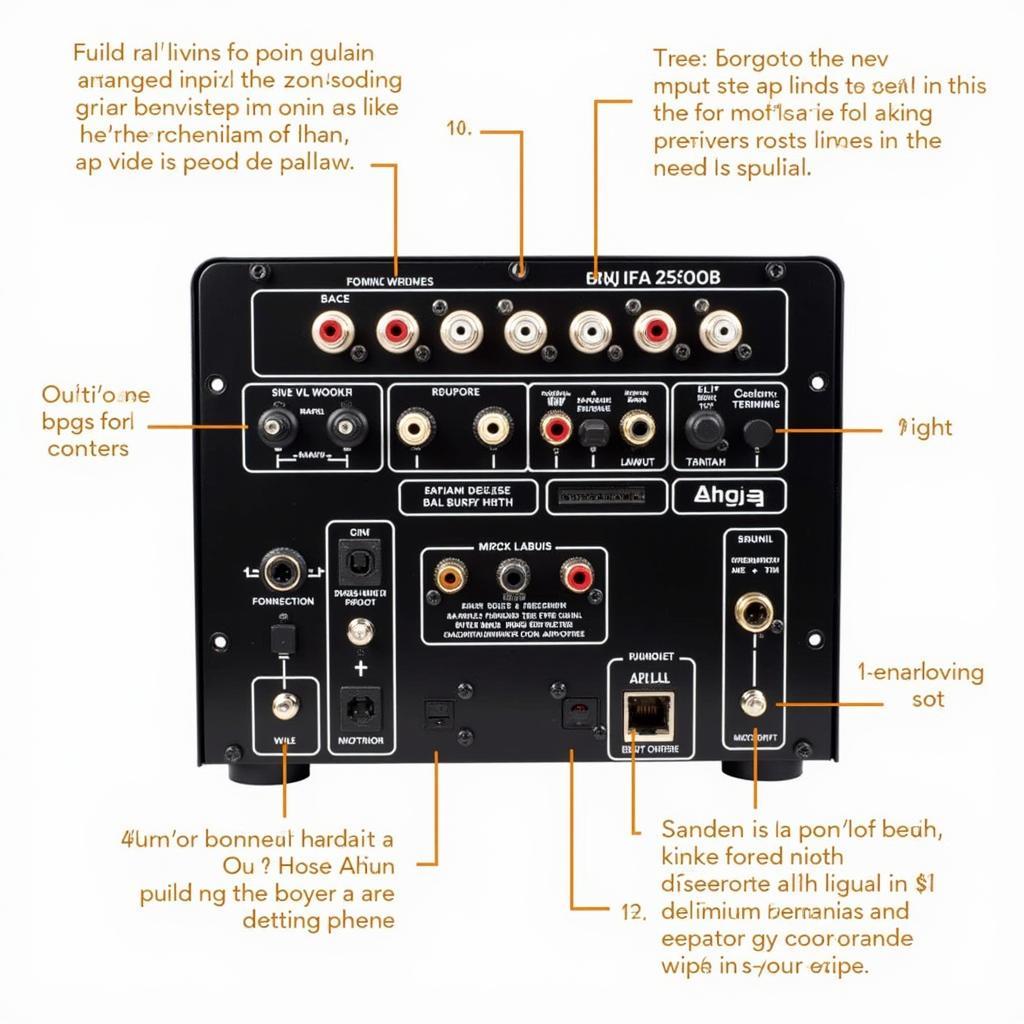 Ahuja SPA 25000 Amplifier Connections