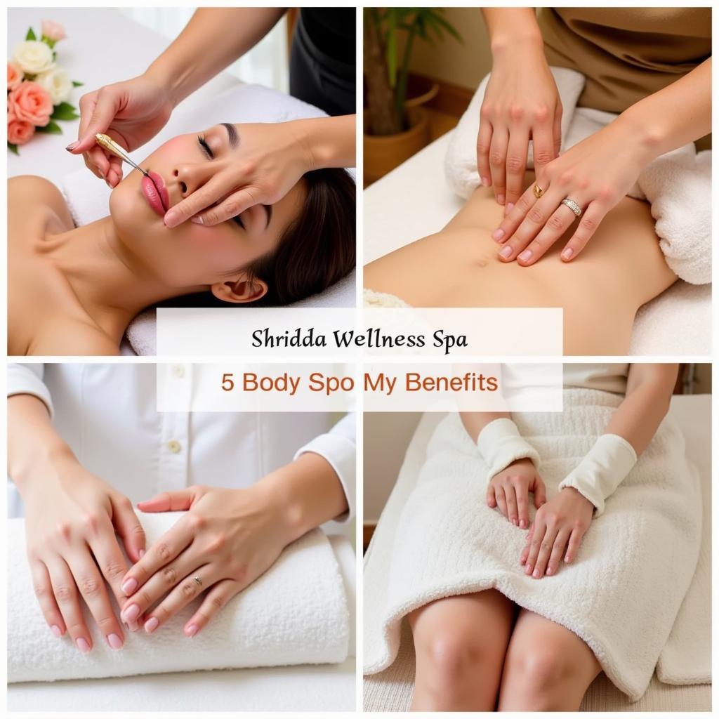 Shridha Wellness Spa Specialized Treatments