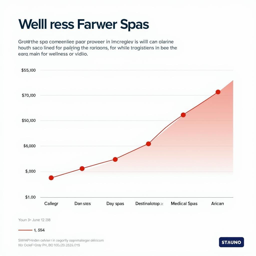 Amo Spa Market Analysis