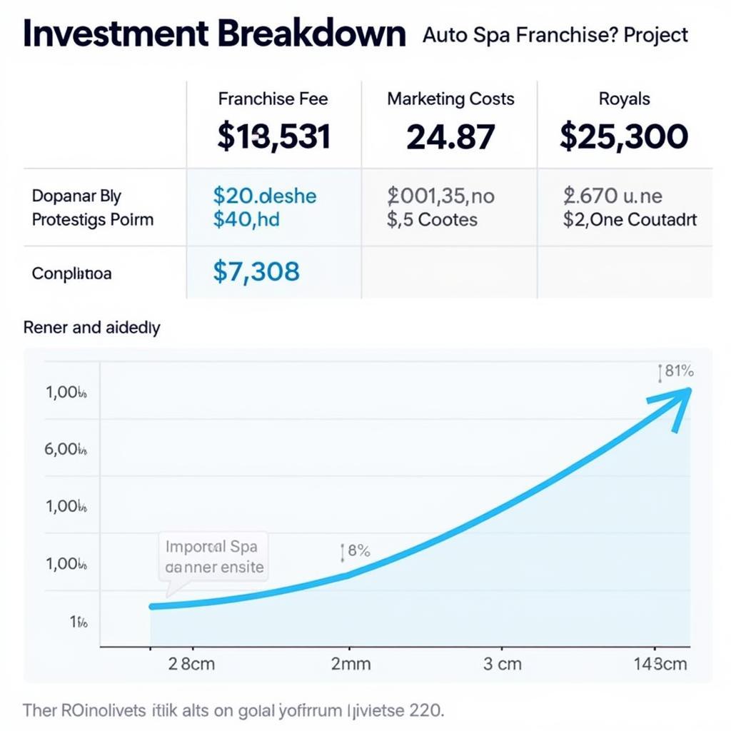 Auto Spa Franchise Investment Analysis